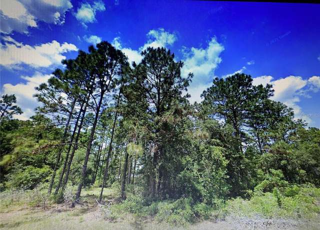 Property at 0 SW 135th Loop, Ocala, FL 34473