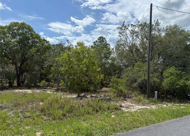 Property at TBD Locust Lane Pass, Ocala, FL 34472