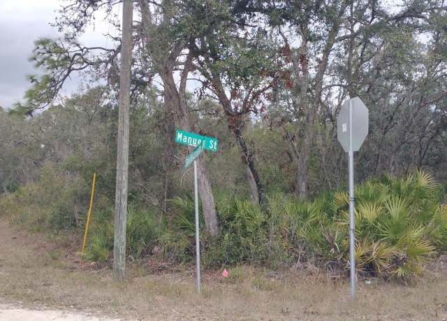 Property at 35161 Manuel St, Webster, FL 33597