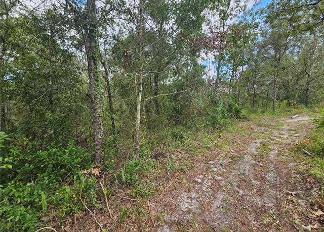 Property at Alford Ln, Spring Hill, FL 34610
