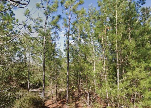 Property at Orchid Dr, Interlachen, FL 32148