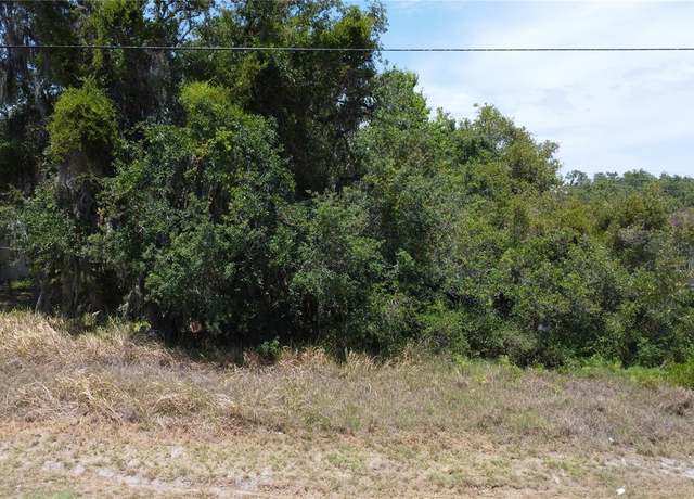 Property at 315 Churchill Ct, Kissimmee, FL 34759