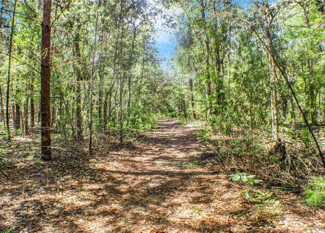 Property at 115 Coral Ave, Interlachen, FL 32148