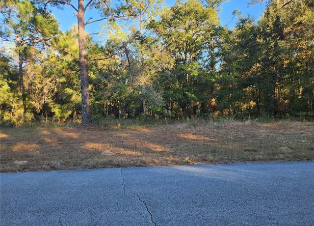 Property at 9155 N Alameda Dr, Citrus Springs, FL 34434