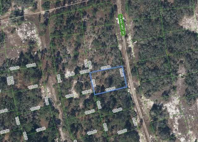 Property at 218 Island Mist Dr, Lake Placid, FL 33852