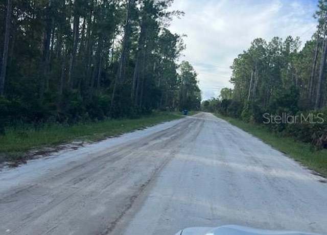 Property at 1117 Piney Woods Trl, Osteen, FL 32764