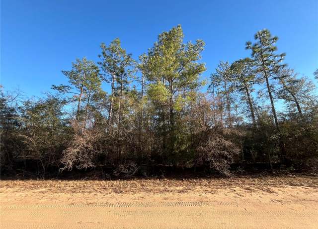 Property at Goreville Ave, Alford, FL 32420