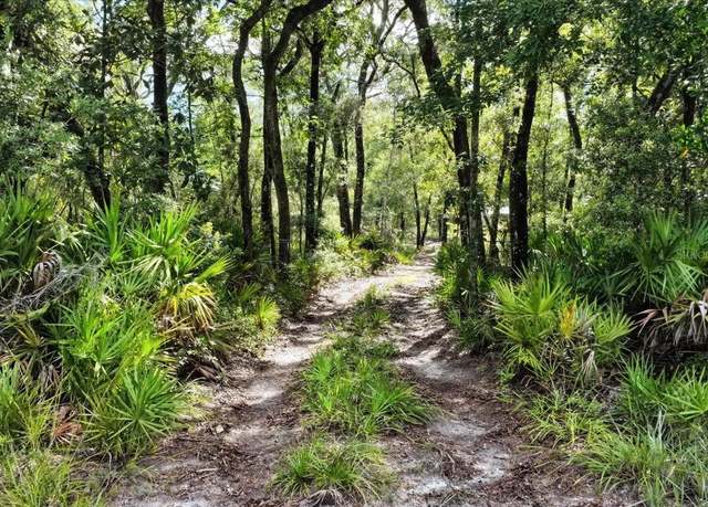 Property at 0000 SW County Road 347, Chiefland, FL 32626