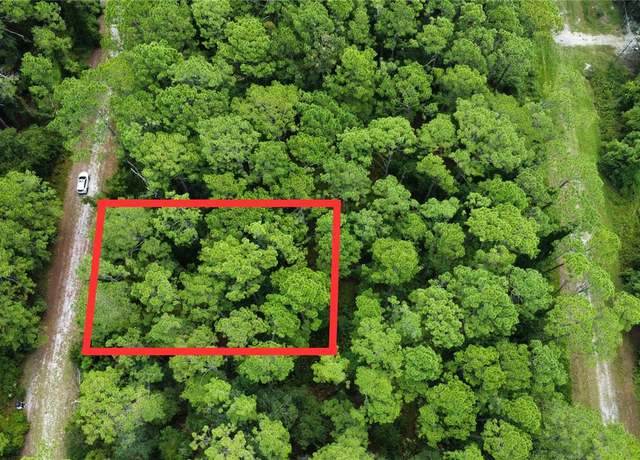 Property at 413 Dogwood Ave, Georgetown, FL 32139