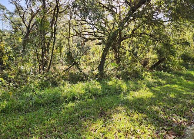 Property at Tablerock Dr, Webster, FL 33597