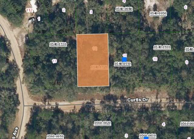 Property at 00 Curtis Dr, Interlachen, FL 32148