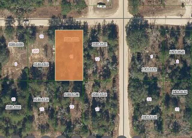Property at 203 Switzerland St, Interlachen, FL 32148