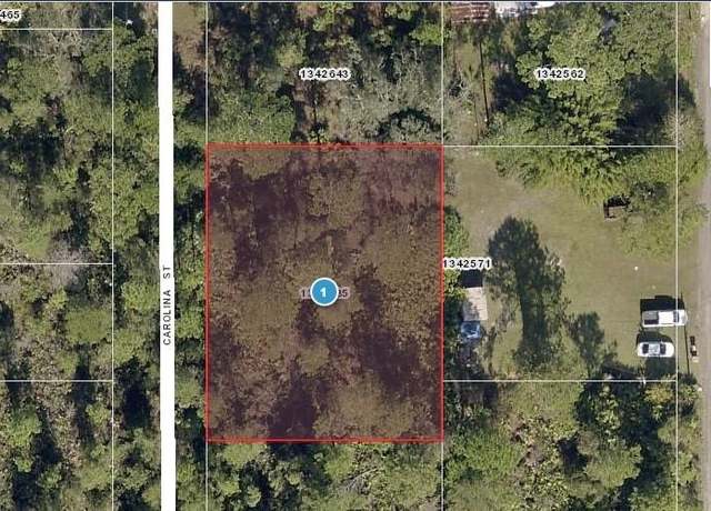 Property at Carolina St, Paisley, FL 32767