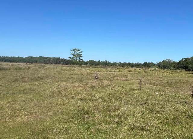 Property at 45855 Clay Gully Rd, Myakka City, FL 34251