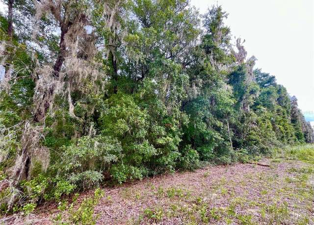 Property at Cr-214, Keystone Heights, FL 32656