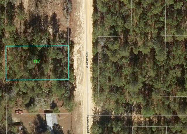 Property at 117 Romanshorn St, Interlachen, FL 32148