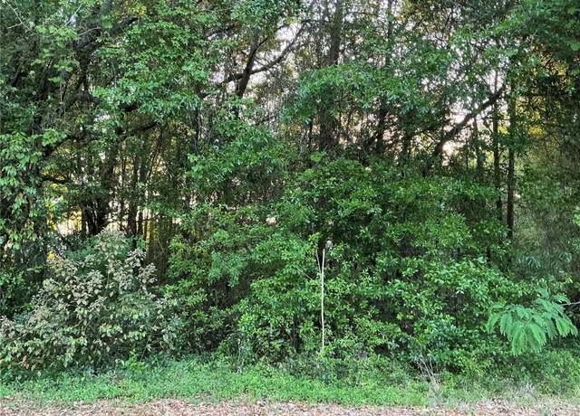 Property at 0 Pine Trace Crse, Ocala, FL 34472