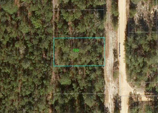 Property at 153 Romanshorn St, Interlachen, FL 32148