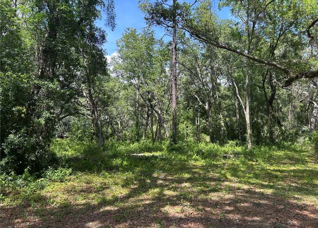 Property at TBD SE 192nd Ct, Morriston, FL 32668