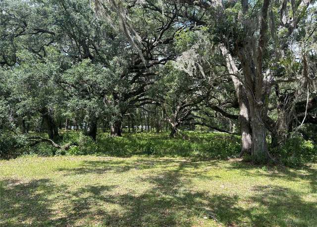 Property at TBD (Lot #17) SE 192nd Ct, Morriston, FL 32668