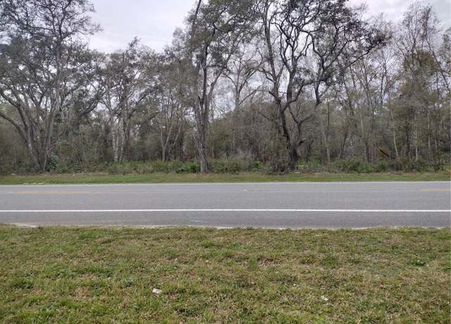 Property at Treiman Blvd, Webster, FL 33597