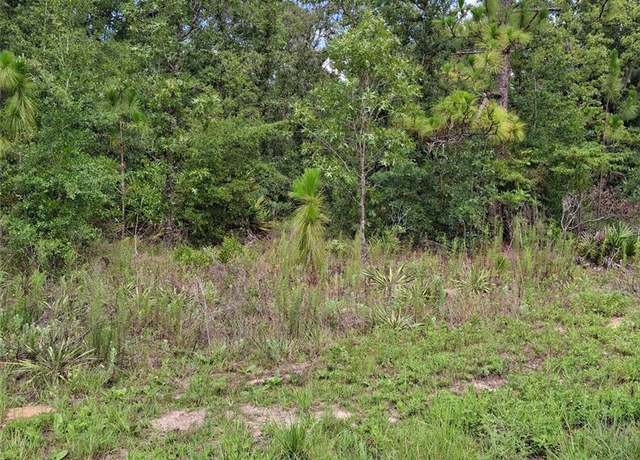 Property at Lot 7 Crabapple, Weeki Wachee, FL 34614
