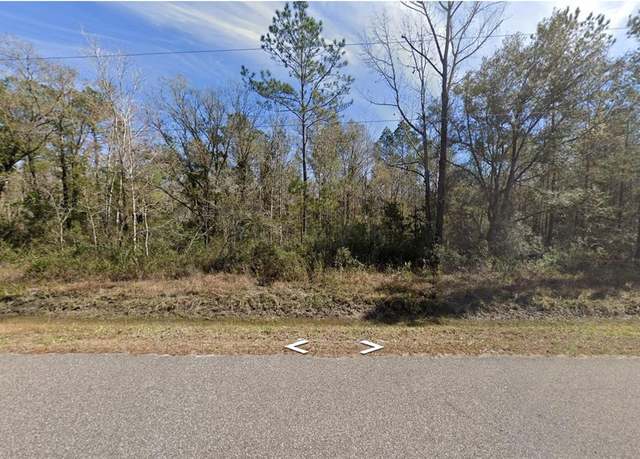 Property at 10240 Turpin Ave, Hastings, FL 32145