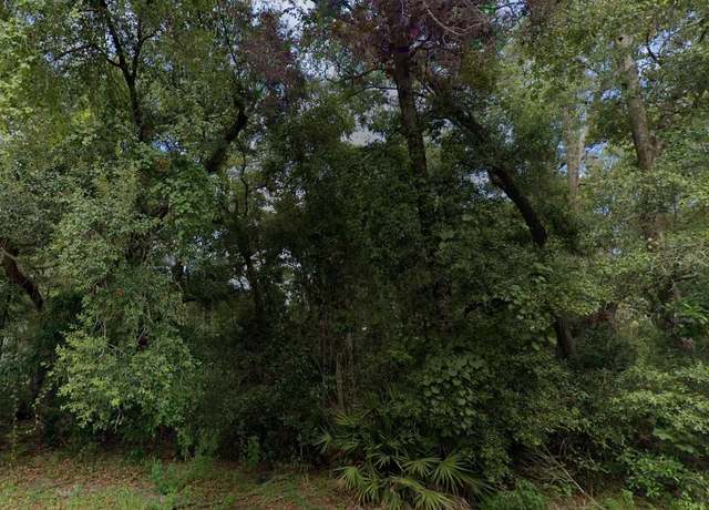 Property at NW 84th Ter, Fanning Springs, FL 32693