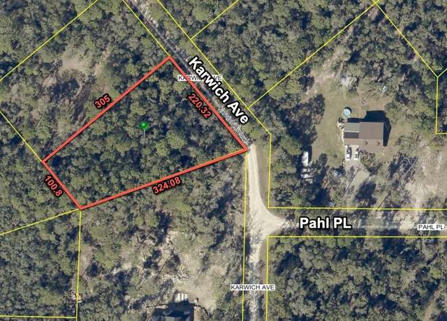 Property at 6450 Karwich Ave, Webster, FL 33597