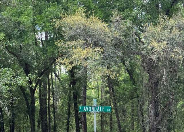 Property at 433 E Avondale Dr, Dunnellon, FL 34434