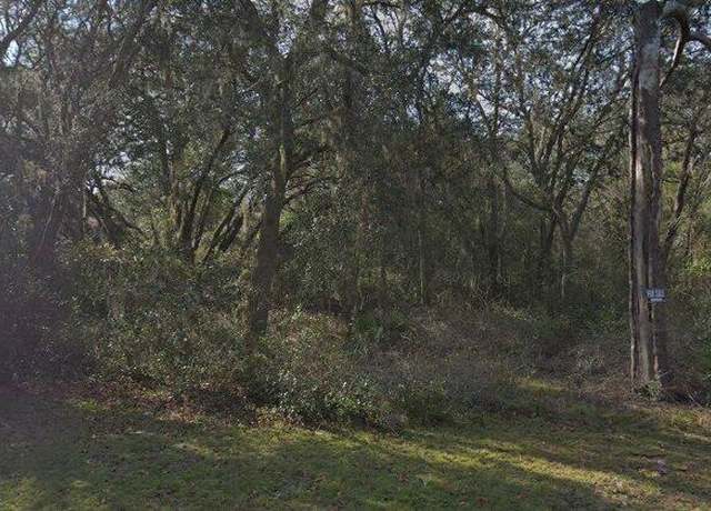Property at 7129 Ricker Ave, Webster, FL 33597