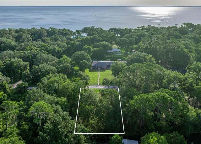 Property at TBD NE 303rd Ct, Salt Springs, FL 32134