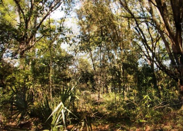 Property at 0 NE 124th Ter, Williston, FL 32696