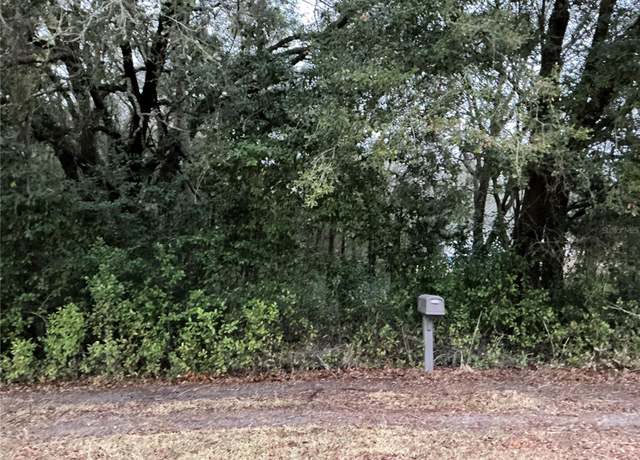 Property at 0 SE 143rd Pl, Summerfield, FL 34491