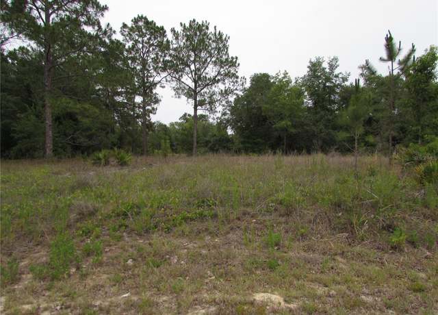 Property at Lot 40 SW South Wind Ct, Dunnellon, FL 34431