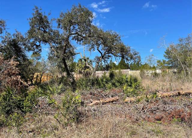 Property at 16883 Dry Tortugas Run, Hudson, FL 34667