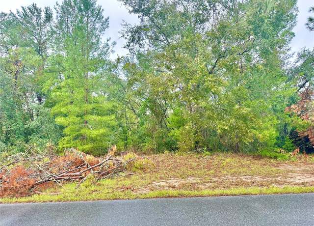 Property at TBD SW 46th Ter, Ocala, FL 34473