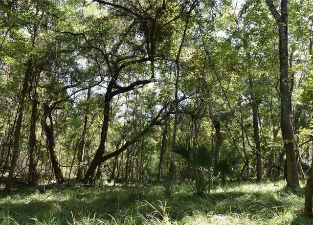 Property at SE 24th Ave, Hawthorne, FL 32640