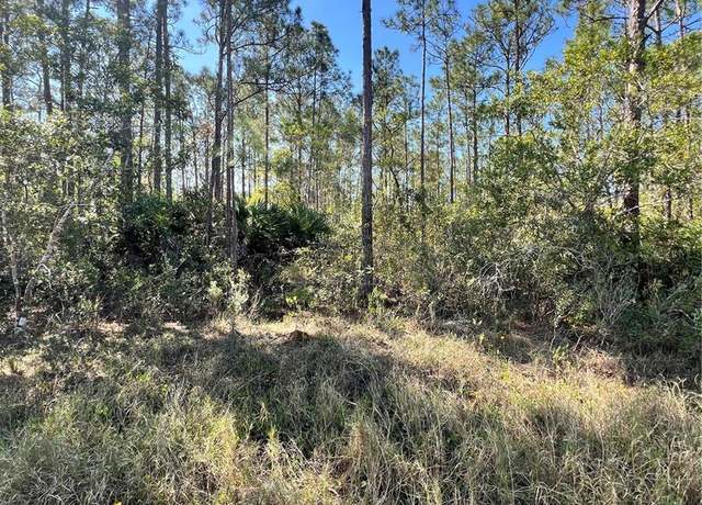 Property at Althea Dr, Indian Lake Estates, FL 33855