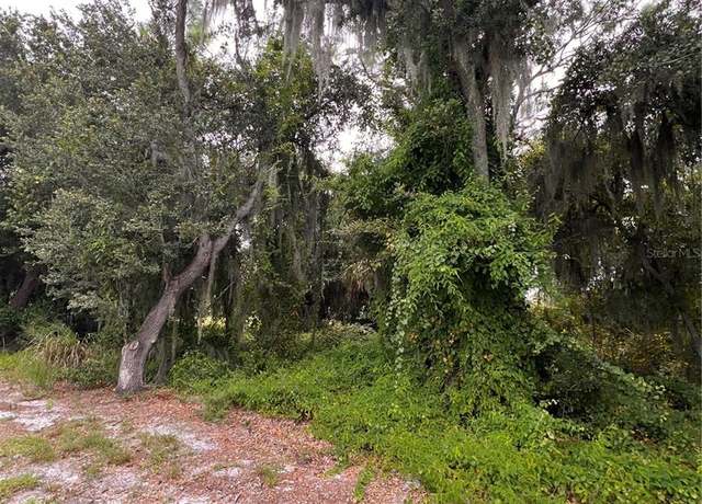 Property at 324 Cinema Dr, Lake Placid, FL 33852