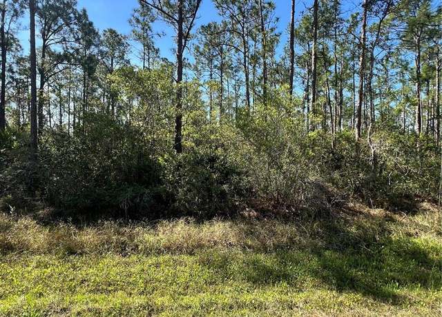 Property at Althea Dr, Indian Lake Estates, FL 33855