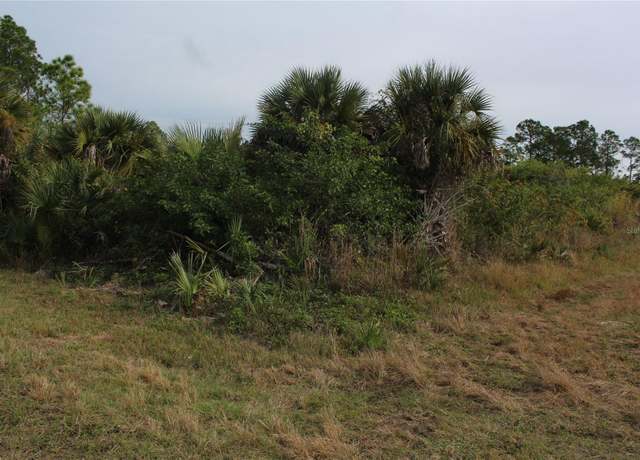 Property at 433 Naples Ave S, Lehigh Acres, FL 33974