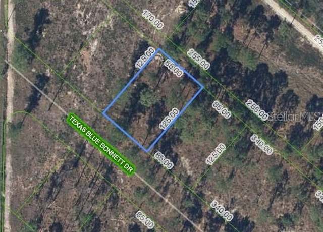 Property at 6139 Texas Blue Bonnett Dr, Sebring, FL 33876