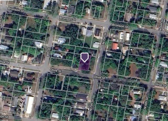 Property at 702 Olive St, Palatka, FL 32177