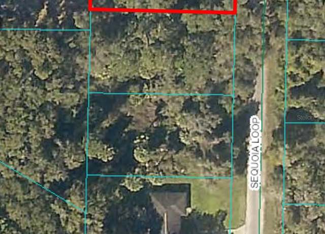 Property at 0 Sequoia Loop, Ocklawaha, FL 32179