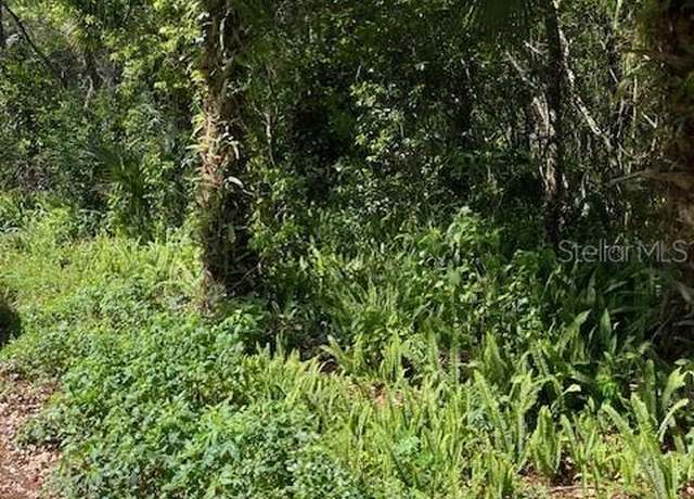 Property at N Thorpe Ave, Orange City, FL 32763