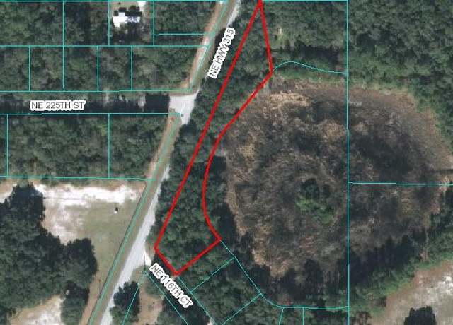 Property at 00 NE Hwy 315, Fort Mc Coy, FL 32134