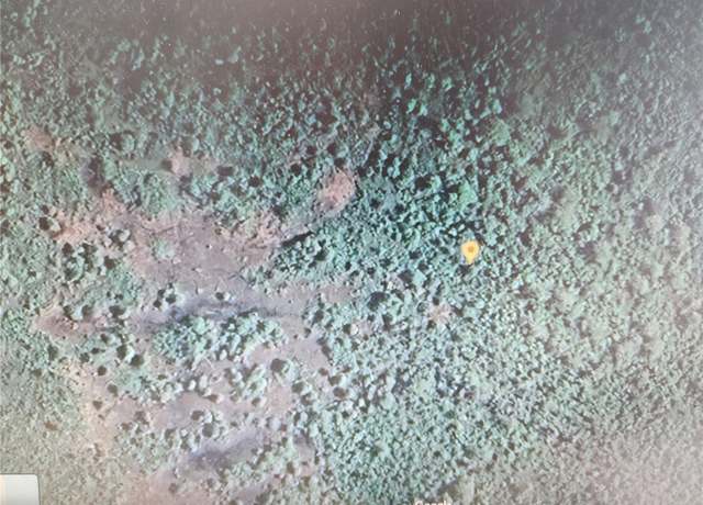 Property at Holopaw Groves Rd, St Cloud, FL 34771