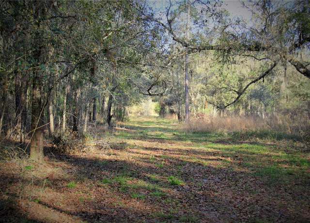 Property at C R 772b, Webster, FL 33597