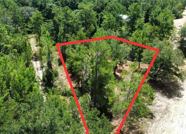 Property at 132 Illinois St, Interlachen, FL 32148